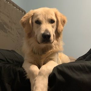 Meet your Posher, Kiersten